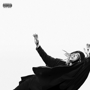 小马拉大车妈妈儿子
