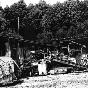 小马拉大车妈妈儿子
