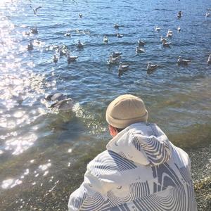 小马拉大车妈妈儿子
